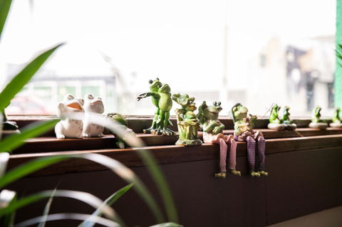 The Pickled Frog - Tourism Cairns 12