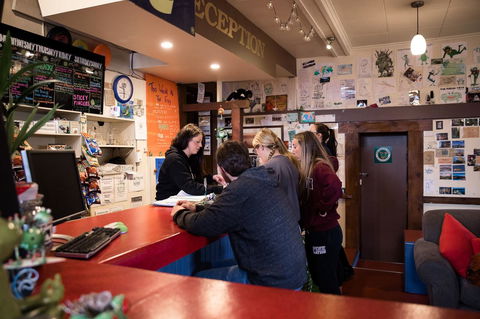 The Pickled Frog - Tourism Cairns 3