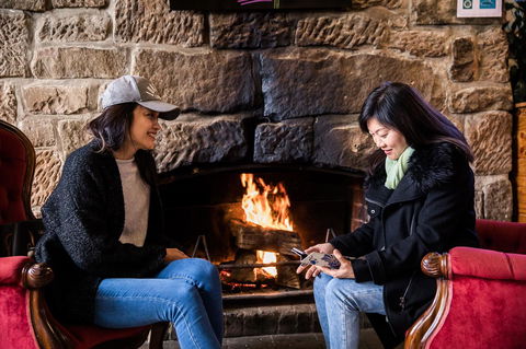 The Pickled Frog - Tourism Cairns 6