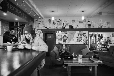 The Pickled Frog - Tourism Cairns 25