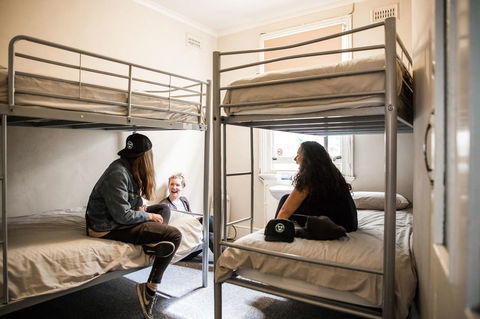 The Pickled Frog - Tourism Cairns 22