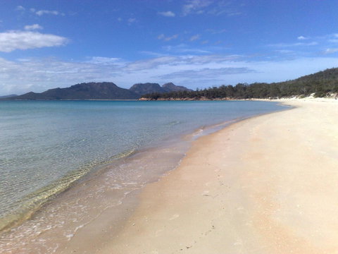 Malting Lagoon Guest House And Brewery - Tourism Cairns 14