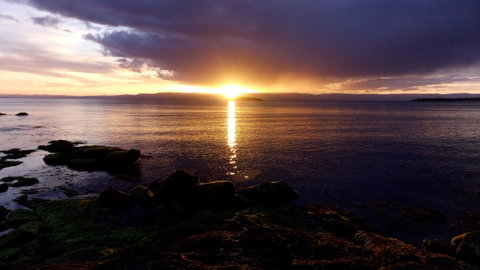 Malting Lagoon Guest House And Brewery - Tourism Cairns 21