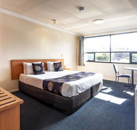 Black Buffalo - Tourism Cairns
