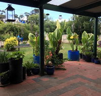 Blue Wren Bungalow - Tourism Cairns