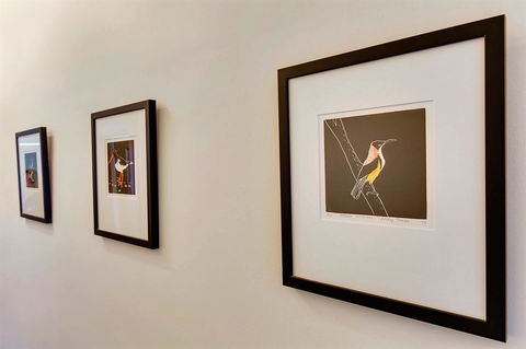 WEST NEST | Classic 3BR Hobart Terrace BEST Location, View, Close To City - Tourism Cairns 24