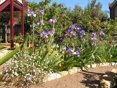 Bendalls Bed And Breakfast - Tourism Cairns 10