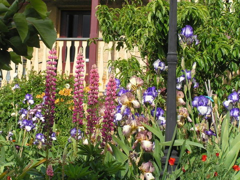 Bendalls Bed And Breakfast - Tourism Cairns 19