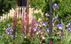 Bendalls Bed And Breakfast - thumb 8