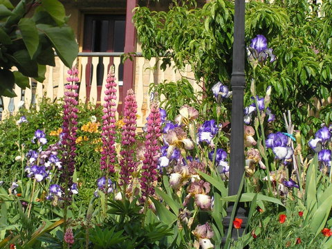 Bendalls Bed And Breakfast - Tourism Cairns 8