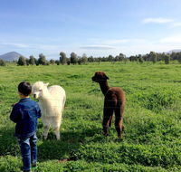 Taras Richmond Farmstay - Tourism Cairns