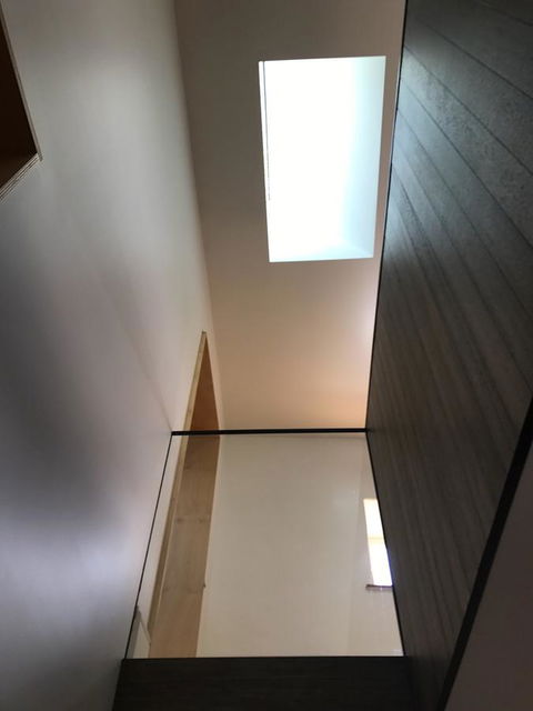 Blue Magnolia - Tourism Cairns 21