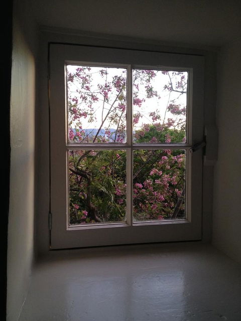 Blue Magnolia - Tourism Cairns 36