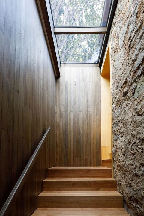 Blue Magnolia - Tourism Cairns 25