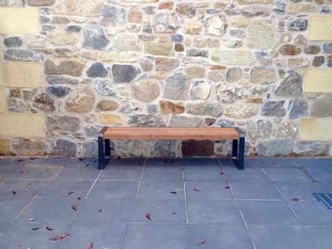 Blue Magnolia - Tourism Cairns 5