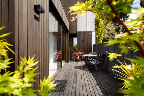 Blue Magnolia - Tourism Cairns 9