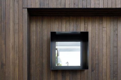 Blue Magnolia - Tourism Cairns 4