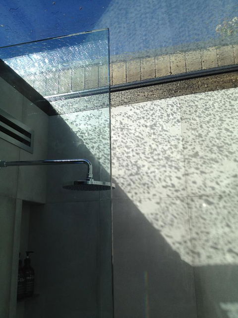 Blue Magnolia - Tourism Cairns 33