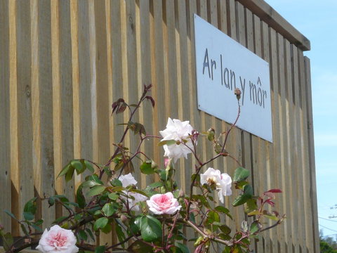 Ar Lan Y Mor - Tourism Cairns 12