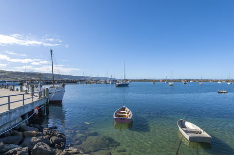 The Apollo - Tourism Cairns 33