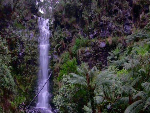 Great Ocean Road Resort - Tourism Cairns 16