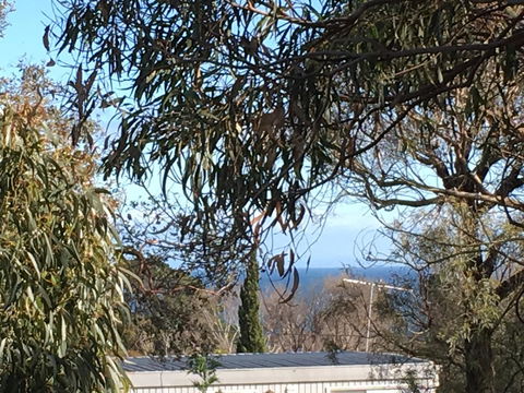 Kookas Retreat - Tourism Cairns 17