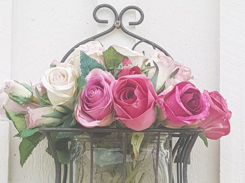 The Cottage - Tourism Cairns 25