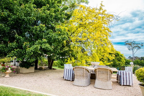 The Cottage - Tourism Cairns 3