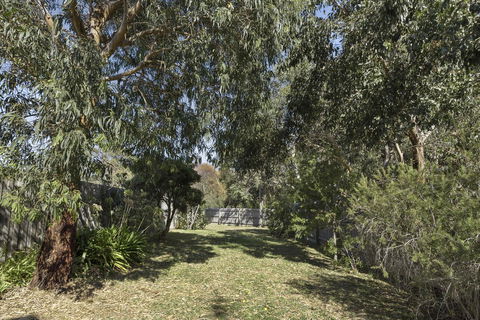 Apollo Bay Cottages - Tourism Cairns 14