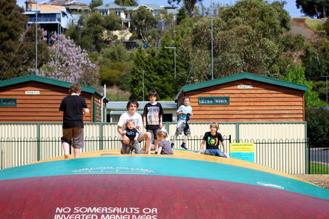 Tasman Holiday Parks - Geelong - Tourism Cairns 4