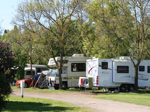 Tasman Holiday Parks - Geelong - Tourism Cairns 21