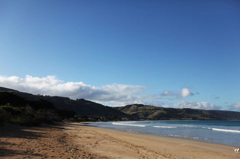 7 Falls Apartments - Tourism Cairns 0