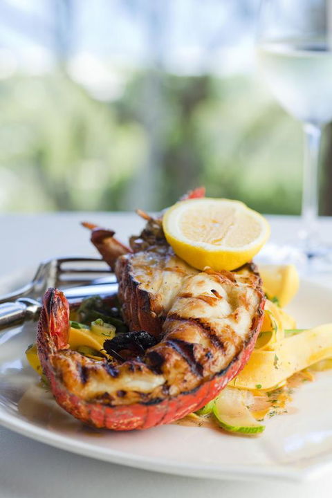 Chris\'s Beacon Point Restaurant & Villas - Tourism Cairns 8