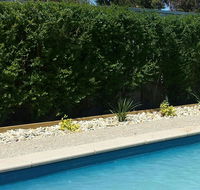 Robinvale Bridge Motel - Tourism Cairns