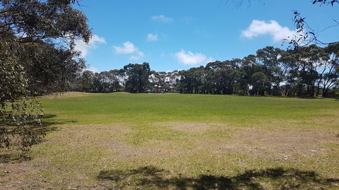 Island Escape - Tourism Cairns 11