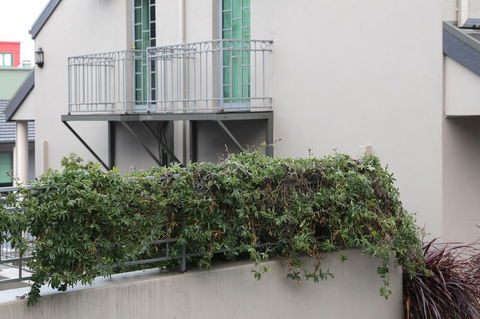 Quality Inn & Suites The Menzies - Tourism Cairns 23