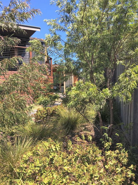The Cosy Bungalow - Tourism Cairns 10