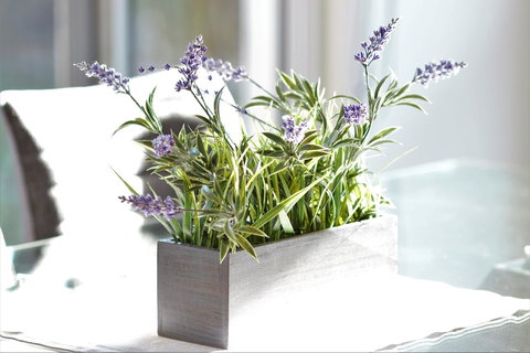 Tamara Temptation - Tourism Cairns 23