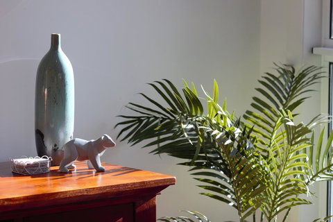 Tamara Temptation - Tourism Cairns 22