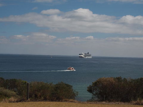 Port Relaxation - Tourism Cairns 18