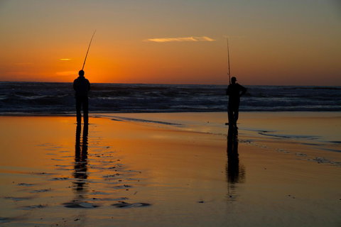 Arcadia Phillip Island - Tourism Cairns 23