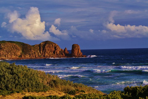 Arcadia Phillip Island - Tourism Cairns 27