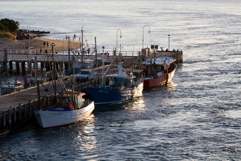 Arcadia Phillip Island - Tourism Cairns 26