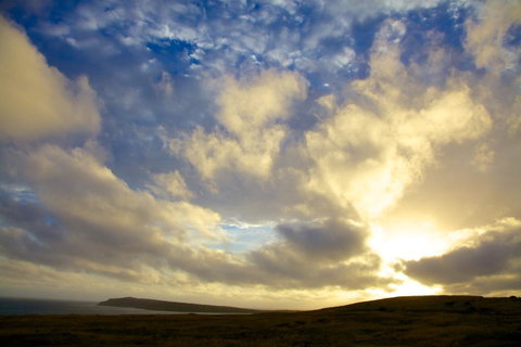 Arcadia Phillip Island - Tourism Cairns 17