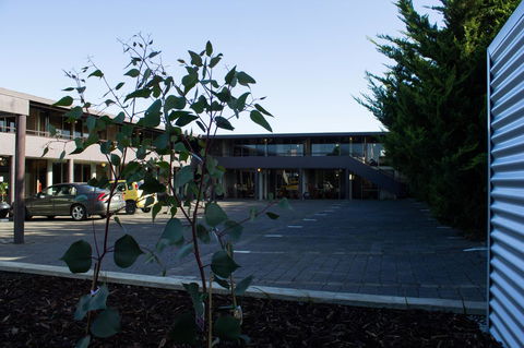 The Olive Tree Motel - Tourism Cairns 25