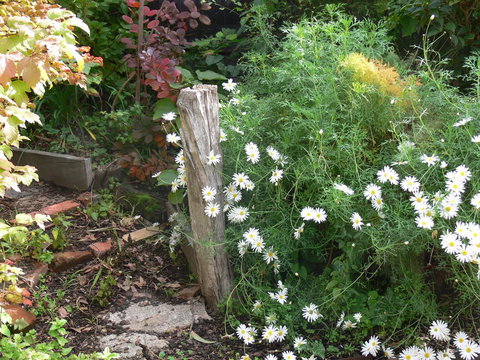 Fairbank House - Tourism Cairns 26