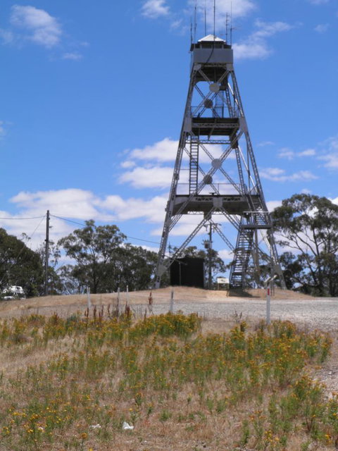 Fairbank House - Tourism Cairns 32