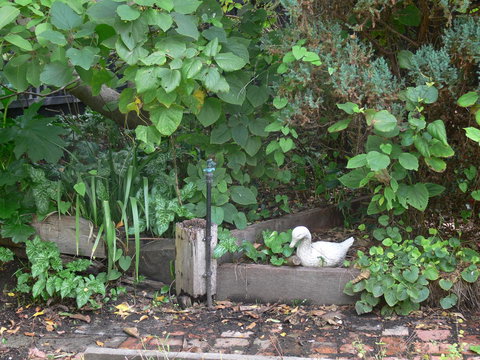 Fairbank House - Tourism Cairns 24