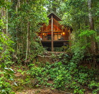 The Canopy Rainforest Treehouses  Wildlife Sanctuary - Tourism Cairns