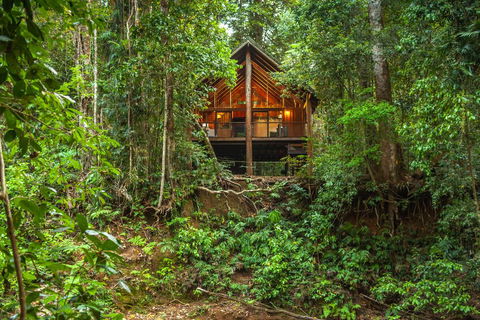 The Canopy Rainforest Treehouses & Wildlife Sanctuary - Tourism Cairns 2